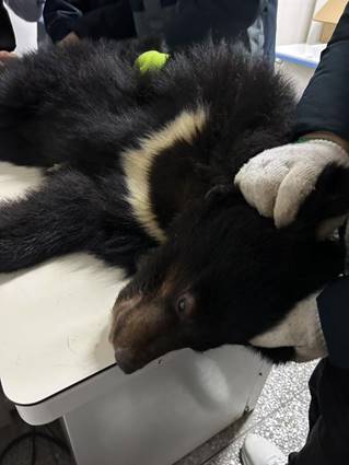 微信图片_20250313192652 微信图片_20250313192652